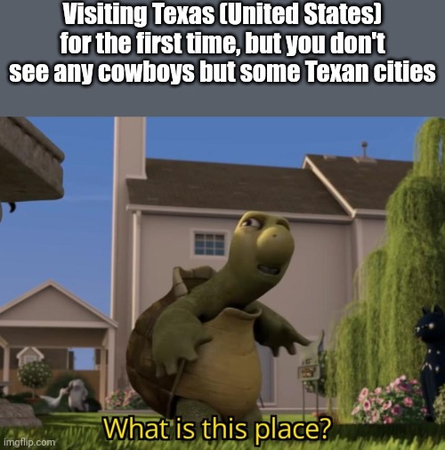 Not like the Texas from movies and cartoons | Visiting Texas (United States) for the first time, but you don't see any cowboys but some Texan cities | image tagged in what is this place,texas,united states,memes,funny | made w/ Imgflip meme maker