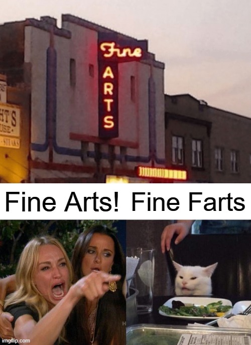LOL | Fine Arts! Fine Farts | image tagged in memes,woman yelling at cat,farts,art,stupid signs | made w/ Imgflip meme maker