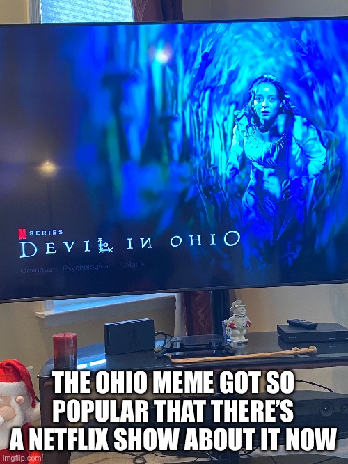 Why tho | THE OHIO MEME GOT SO POPULAR THAT THERE’S A NETFLIX SHOW ABOUT IT NOW | image tagged in ohio | made w/ Imgflip meme maker