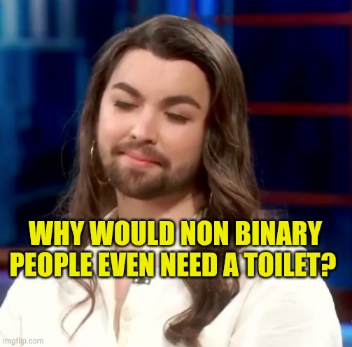 What Hole | WHY WOULD NON BINARY PEOPLE EVEN NEED A TOILET? | image tagged in non binary jesus,what is a woman,transgender bathroom,insane clown posse,woke,multiple identity | made w/ Imgflip meme maker
