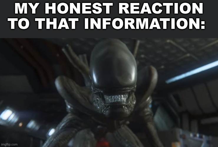 Alien reaction | image tagged in alien reaction | made w/ Imgflip meme maker