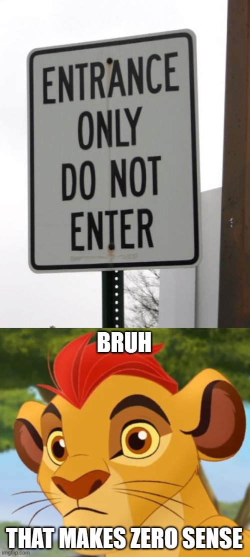 BRUH; THAT MAKES ZERO SENSE | image tagged in confused kion,stupid signs,paradox | made w/ Imgflip meme maker