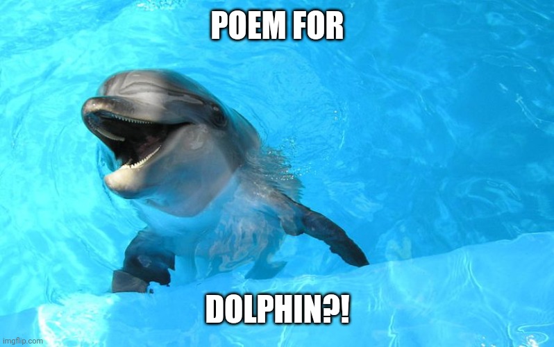 Laughing Dolphin | POEM FOR; DOLPHIN?! | image tagged in laughing dolphin | made w/ Imgflip meme maker