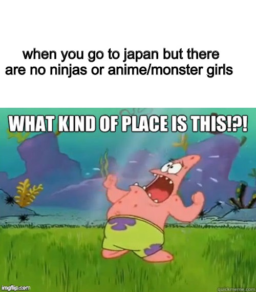 What kind of place is this? | when you go to japan but there are no ninjas or anime/monster girls | image tagged in what kind of place is this,japan | made w/ Imgflip meme maker