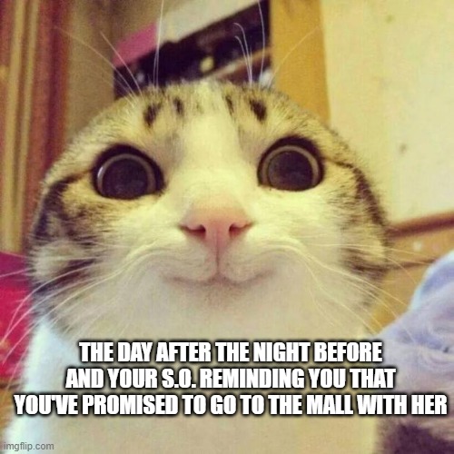 Smiling Cat Meme | THE DAY AFTER THE NIGHT BEFORE AND YOUR S.O. REMINDING YOU THAT YOU'VE PROMISED TO GO TO THE MALL WITH HER | image tagged in memes,smiling cat | made w/ Imgflip meme maker