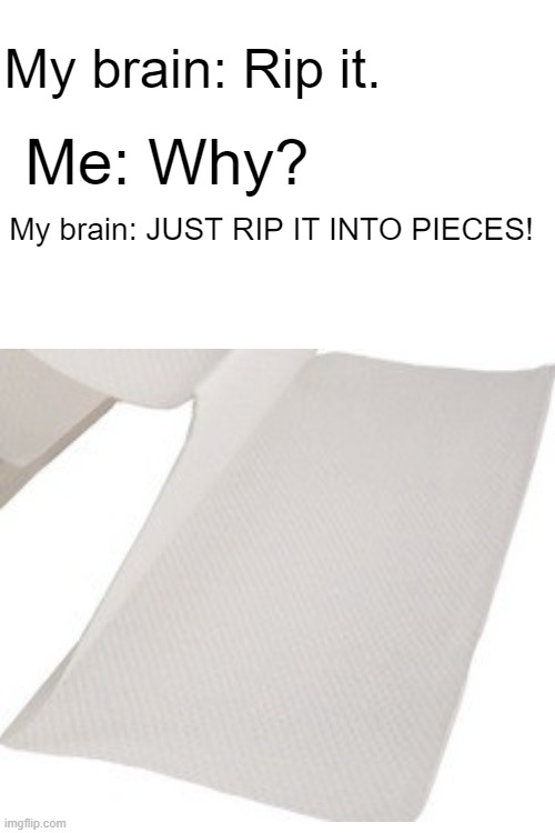 Even with regular paper, your brain still tells you to do it. | My brain: Rip it. Me: Why? My brain: JUST RIP IT INTO PIECES! | image tagged in memes | made w/ Imgflip meme maker