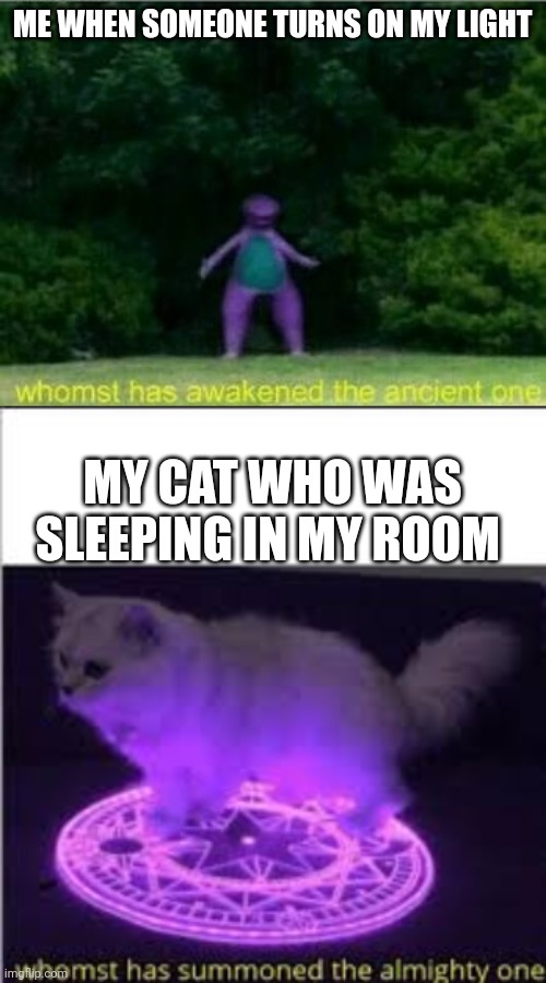 Wheeeee | ME WHEN SOMEONE TURNS ON MY LIGHT; MY CAT WHO WAS SLEEPING IN MY ROOM | image tagged in whomst has awakened the ancient one,whomst has summoned the almighty one | made w/ Imgflip meme maker