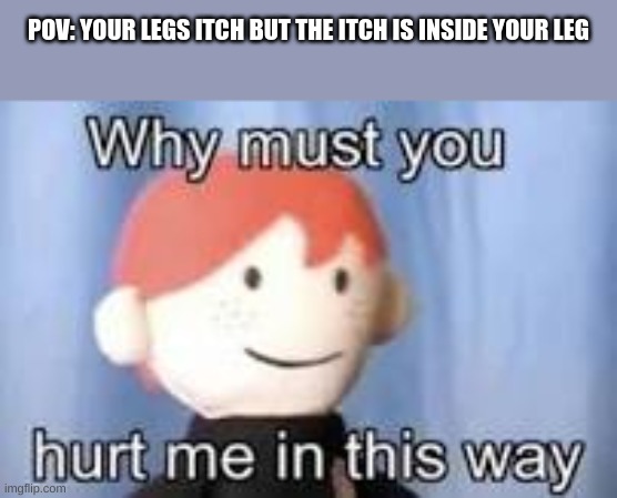 Meh | POV: YOUR LEGS ITCH BUT THE ITCH IS INSIDE YOUR LEG | image tagged in why must you hurt me in this way | made w/ Imgflip meme maker