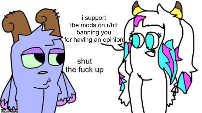 bowgart tells Parlsona to stfu | i support the mods on r/htf banning you for having an opinion | image tagged in bowgart tells parlsona to stfu | made w/ Imgflip meme maker