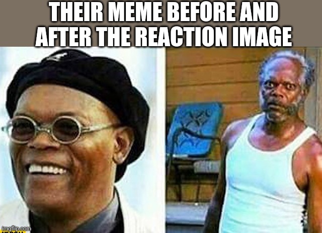 Samuel L Jackson before and after | THEIR MEME BEFORE AND AFTER THE REACTION IMAGE | image tagged in samuel l jackson before and after | made w/ Imgflip meme maker