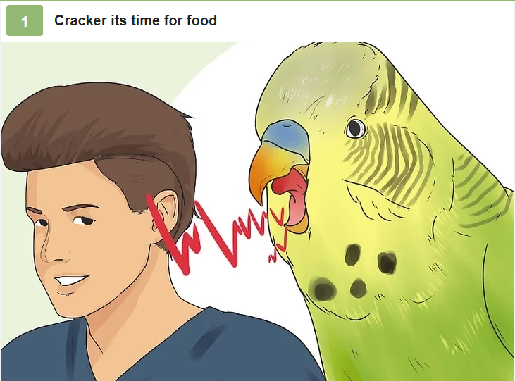 cracker its time for food Blank Meme Template