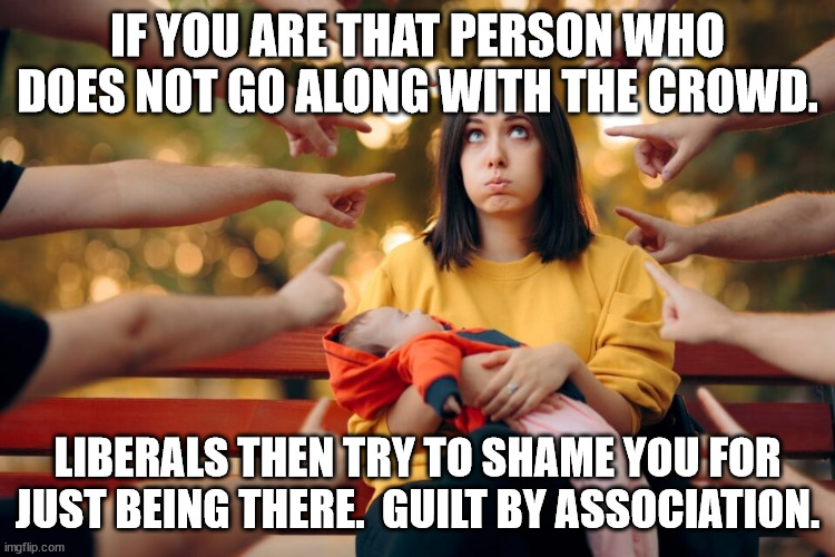 IF YOU ARE THAT PERSON WHO DOES NOT GO ALONG WITH THE CROWD. LIBERALS THEN TRY TO SHAME YOU FOR JUST BEING THERE.  GUILT BY ASSOCIATION. | made w/ Imgflip meme maker