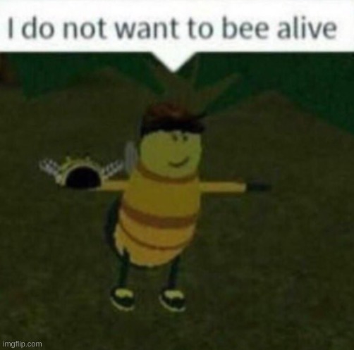 I do not want to bee alive | image tagged in i do not want to bee alive | made w/ Imgflip meme maker