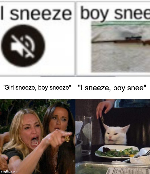 When an image gets cropped funny | "Girl sneeze, boy sneeze"; "I sneeze, boy snee" | image tagged in memes,woman yelling at cat | made w/ Imgflip meme maker