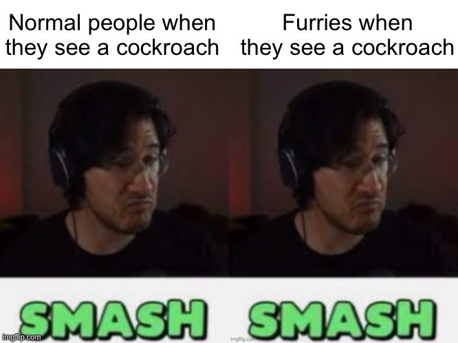 Normal people when they see a cockroach; Furries when they see a cockroach | image tagged in markiplier smash | made w/ Imgflip meme maker