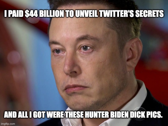 Elon Musk sad | I PAID $44 BILLION TO UNVEIL TWITTER'S SECRETS AND ALL I GOT WERE THESE HUNTER BIDEN DICK PICS. | image tagged in elon musk sad | made w/ Imgflip meme maker
