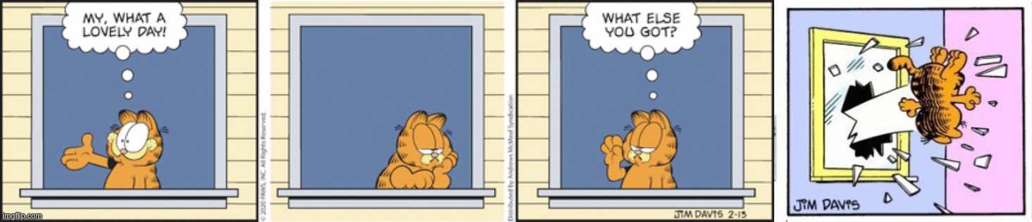 image tagged in garfield gets thrown out of a window | made w/ Imgflip meme maker