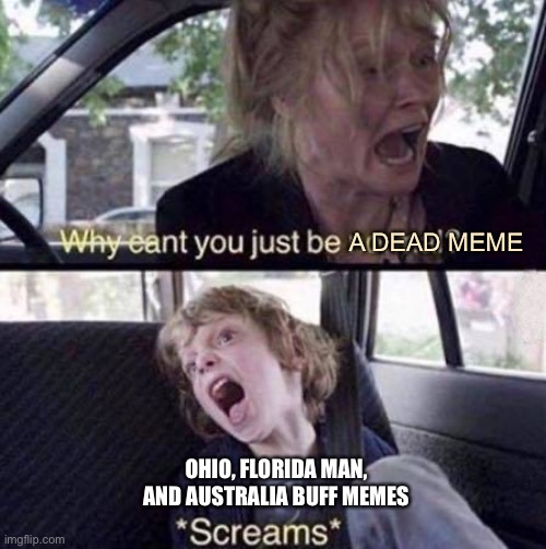 JUST DIE | A DEAD MEME; OHIO, FLORIDA MAN, AND AUSTRALIA BUFF MEMES | image tagged in why can't you just be normal | made w/ Imgflip meme maker