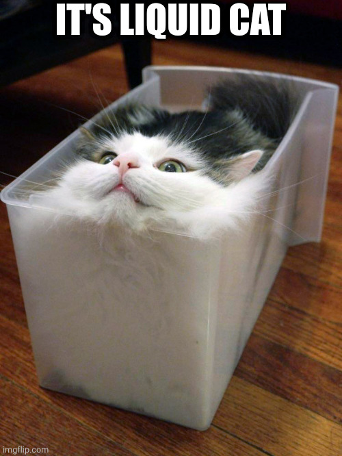 Liquid Cat | IT'S LIQUID CAT | image tagged in liquid cat | made w/ Imgflip meme maker