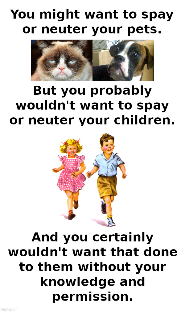Spay and Neuter: Your Pets or Your Children? | image tagged in spay,neuter,pets,children,knowledge,permission | made w/ Imgflip meme maker