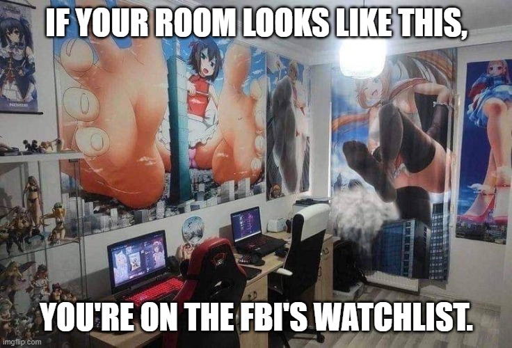 If Your Room Looks Like This... | IF YOUR ROOM LOOKS LIKE THIS, YOU'RE ON THE FBI'S WATCHLIST. | image tagged in funny,anime,cringe,weeb,weebs,hentai | made w/ Imgflip meme maker