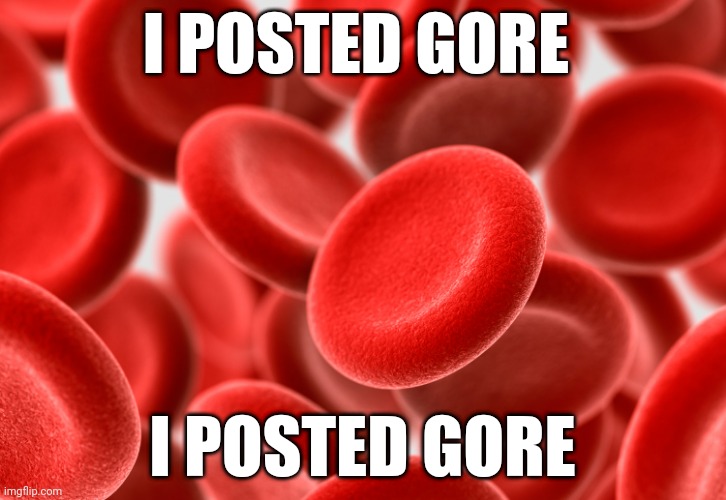 I POSTED GORE; I POSTED GORE | made w/ Imgflip meme maker