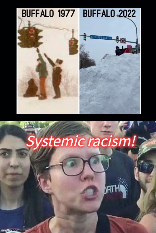 Liberals missing the point again | Systemic racism! | image tagged in triggered liberal,climate change,propaganda,everything is racist,liberals forget history,blizzard | made w/ Imgflip meme maker