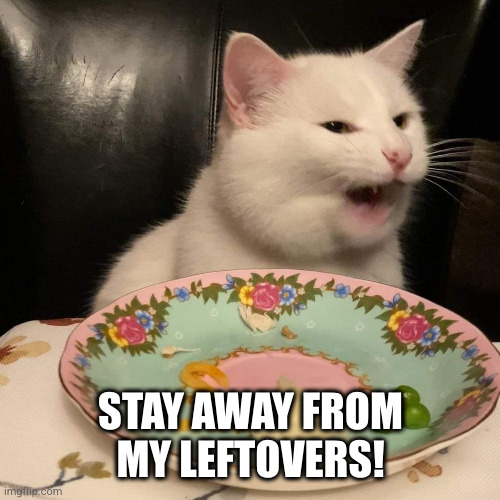 Stay away from my leftovers | STAY AWAY FROM MY LEFTOVERS! | image tagged in cat,smudge the cat,leftovers,funny,christmas | made w/ Imgflip meme maker