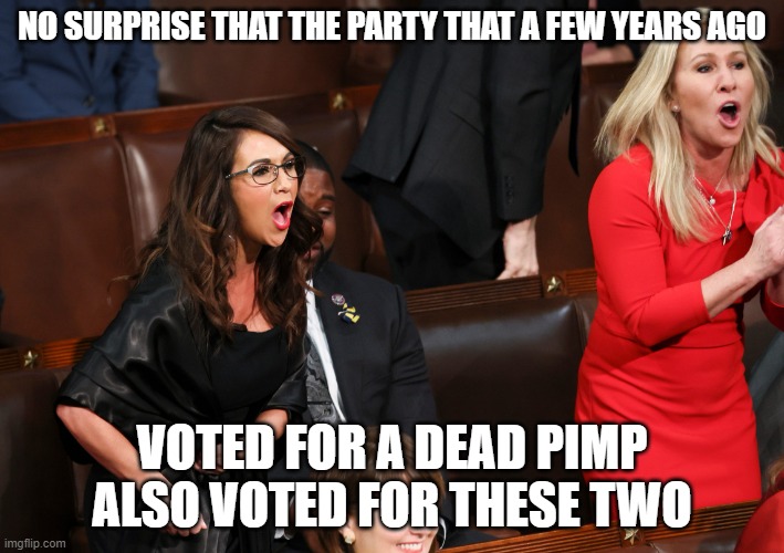 Lauren Boebert Marjorie Taylor Greene | NO SURPRISE THAT THE PARTY THAT A FEW YEARS AGO; VOTED FOR A DEAD PIMP ALSO VOTED FOR THESE TWO | image tagged in lauren boebert marjorie taylor greene | made w/ Imgflip meme maker