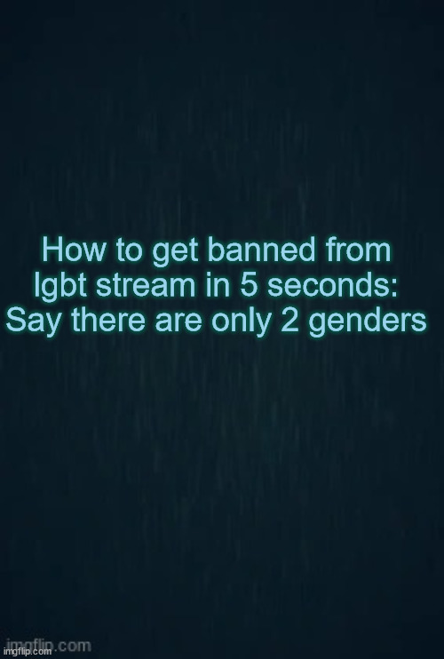 Guiding light | How to get banned from lgbt stream in 5 seconds:
Say there are only 2 genders | image tagged in guiding light | made w/ Imgflip meme maker