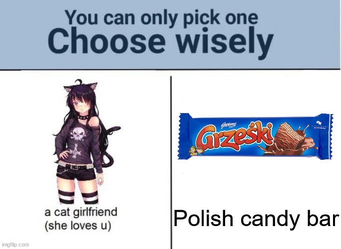 Choose Wisely | Polish candy bar | image tagged in choose wisely,snacks,candy bar,polish,poland | made w/ Imgflip meme maker