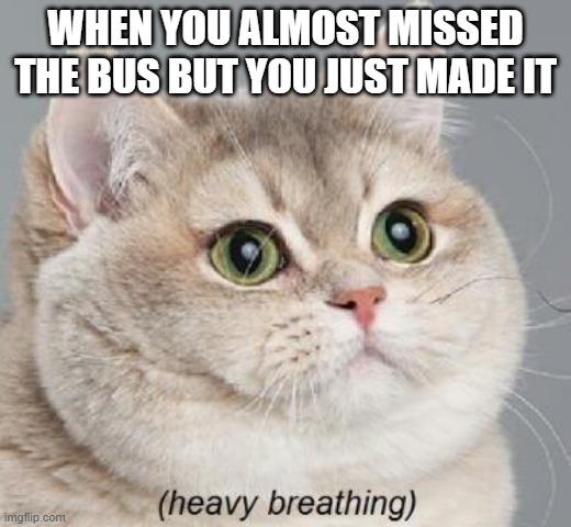 almost missed the bus | WHEN YOU ALMOST MISSED THE BUS BUT YOU JUST MADE IT | image tagged in memes,heavy breathing cat | made w/ Imgflip meme maker