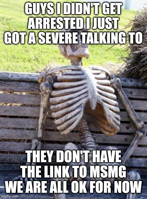 Yea msmg is heard of by the cops, but I will do all I can do that the don't find us | GUYS I DIDN'T GET ARRESTED I JUST GOT A SEVERE TALKING TO; THEY DON'T HAVE THE LINK TO MSMG WE ARE ALL OK FOR NOW | image tagged in memes,waiting skeleton | made w/ Imgflip meme maker