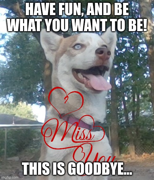 R.I.P to Boomy Dog, I will miss you! | HAVE FUN, AND BE WHAT YOU WANT TO BE! THIS IS GOODBYE... | image tagged in boomy dog,husky,died,rip,love | made w/ Imgflip meme maker