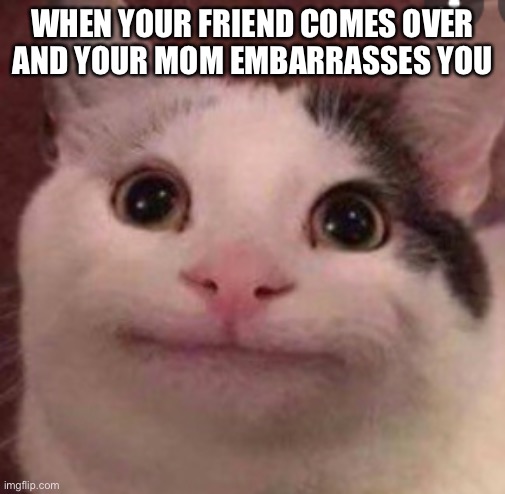 Beluga cat | WHEN YOUR FRIEND COMES OVER AND YOUR MOM EMBARRASSES YOU | image tagged in beluga cat | made w/ Imgflip meme maker