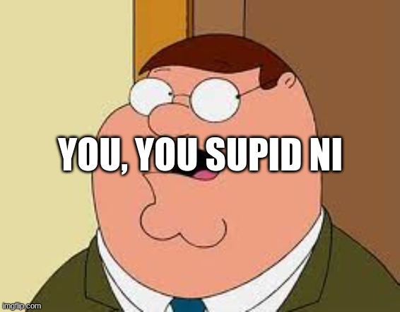 family guy | YOU, YOU SUPID NI | image tagged in memes,family guy peter | made w/ Imgflip meme maker