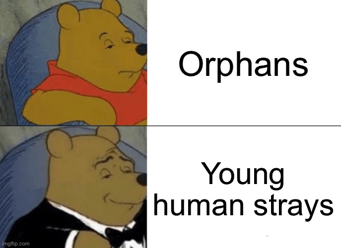 Other words for orphans | Orphans; Young human strays | image tagged in memes,tuxedo winnie the pooh | made w/ Imgflip meme maker