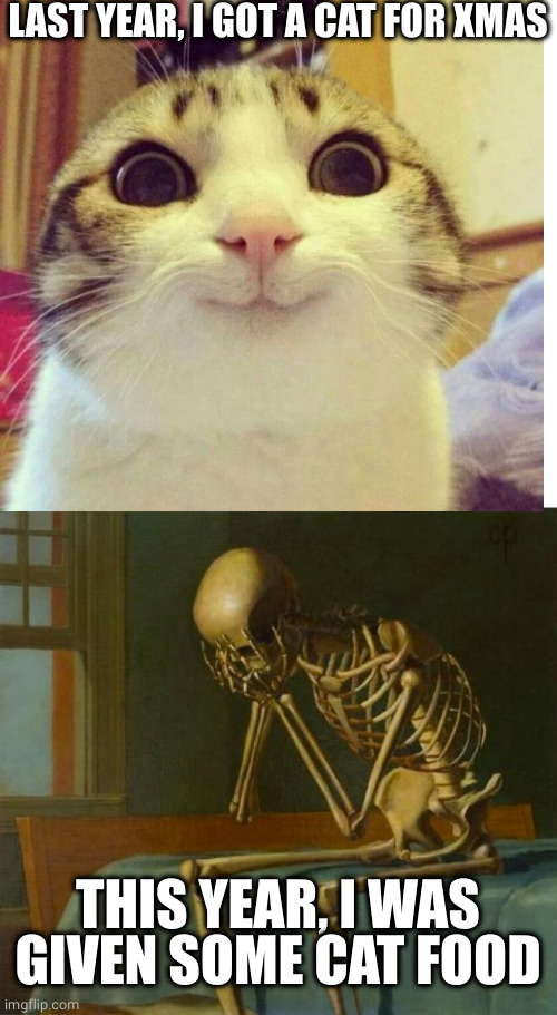 A present that was just too late | LAST YEAR, I GOT A CAT FOR XMAS; THIS YEAR, I WAS GIVEN SOME CAT FOOD | image tagged in sad skeleton,cat food,cat,christmas | made w/ Imgflip meme maker