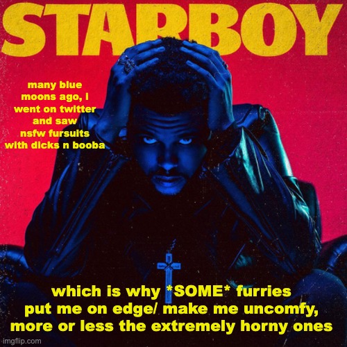 - venus | many blue moons ago, i went on twitter and saw nsfw fursuits with dicks n booba; which is why *SOME* furries put me on edge/ make me uncomfy, more or less the extremely horny ones | image tagged in starboy | made w/ Imgflip meme maker