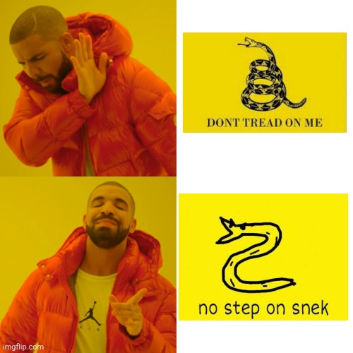 No step on snek | image tagged in memes,drake hotline bling,snek,snake,flag,american | made w/ Imgflip meme maker
