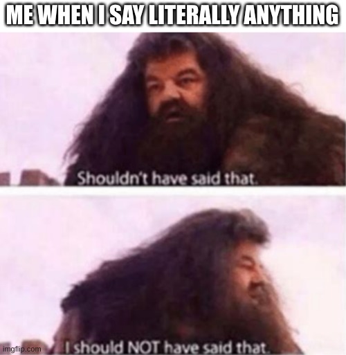 Shouldn't have said that | ME WHEN I SAY LITERALLY ANYTHING | image tagged in shouldn't have said that | made w/ Imgflip meme maker