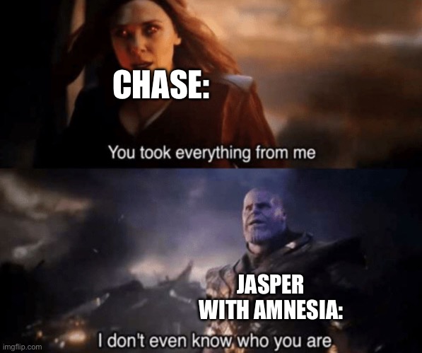 You took everything from me - I don't even know who you are | CHASE: JASPER WITH AMNESIA: | image tagged in you took everything from me - i don't even know who you are | made w/ Imgflip meme maker