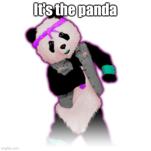 It's the panda | made w/ Imgflip meme maker