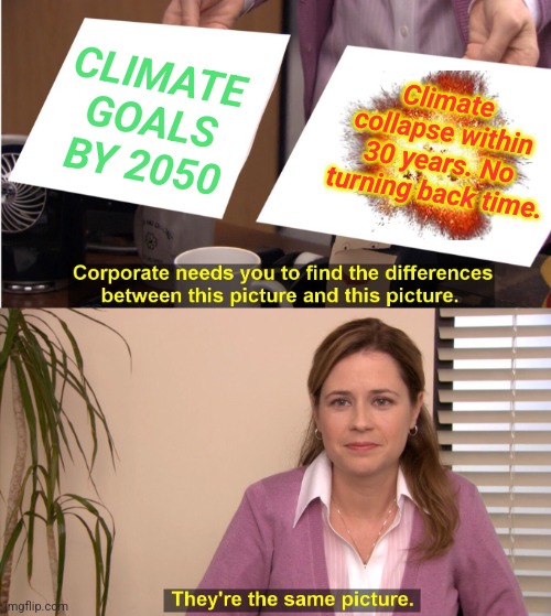 They're The Same Picture Meme | CLIMATE GOALS BY 2050; Climate collapse within 30 years. No turning back time. | image tagged in memes,they're the same picture,global warming,climate change | made w/ Imgflip meme maker