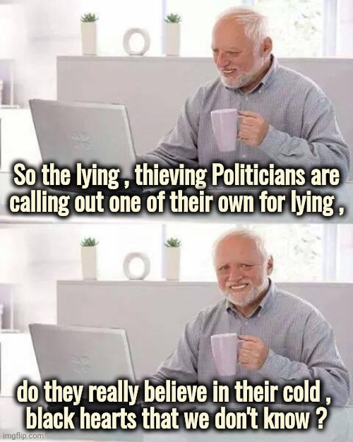Their hypocrisy knows no bounds | So the lying , thieving Politicians are
calling out one of their own for lying , do they really believe in their cold , 
black hearts that we don't know ? | image tagged in memes,hide the pain harold,politicians suck,liars,cheaters,thieves | made w/ Imgflip meme maker