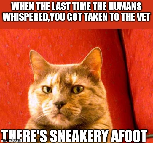 Suspicious Cat Meme | WHEN THE LAST TIME THE HUMANS WHISPERED,YOU GOT TAKEN TO THE VET; THERE'S SNEAKERY AFOOT | image tagged in memes,suspicious cat | made w/ Imgflip meme maker