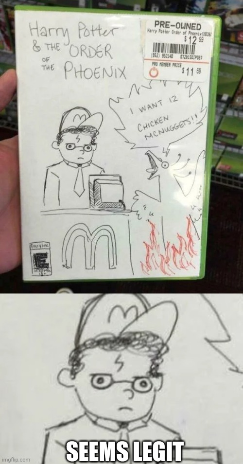 HARRY WORKS AT MCDONALD'S | SEEMS LEGIT | image tagged in harry potter,harry potter meme,video games,xbox | made w/ Imgflip meme maker