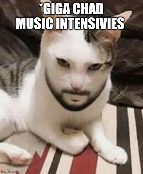 Angry cat | *GIGA CHAD MUSIC INTENSIVIES | image tagged in angry cat | made w/ Imgflip meme maker