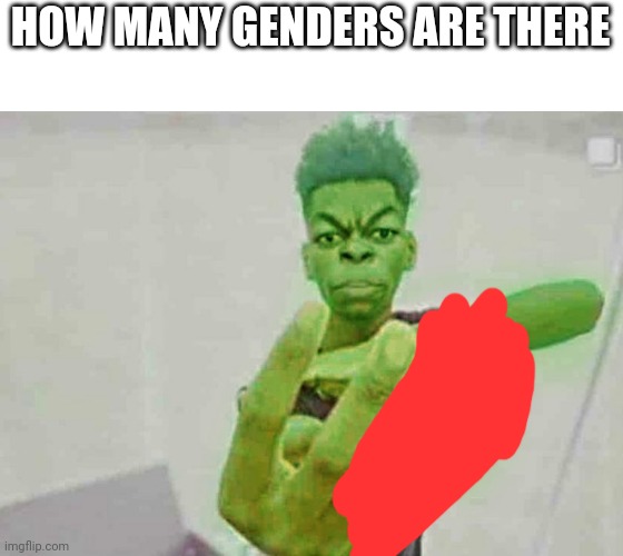 Beast Boy Holding Up 4 Fingers | HOW MANY GENDERS ARE THERE | image tagged in beast boy holding up 4 fingers | made w/ Imgflip meme maker