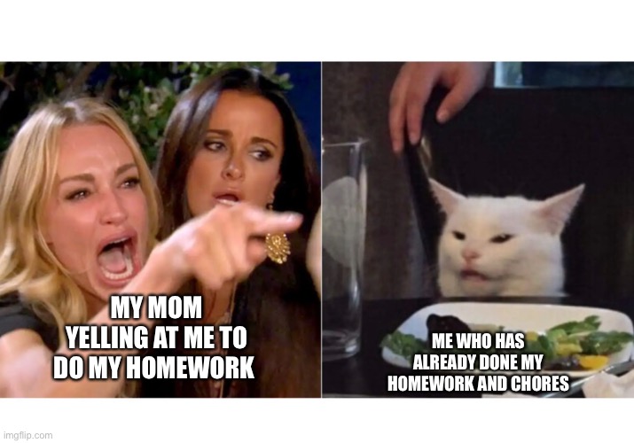 MY MOM YELLING AT ME TO DO MY HOMEWORK; ME WHO HAS ALREADY DONE MY HOMEWORK AND CHORES | made w/ Imgflip meme maker